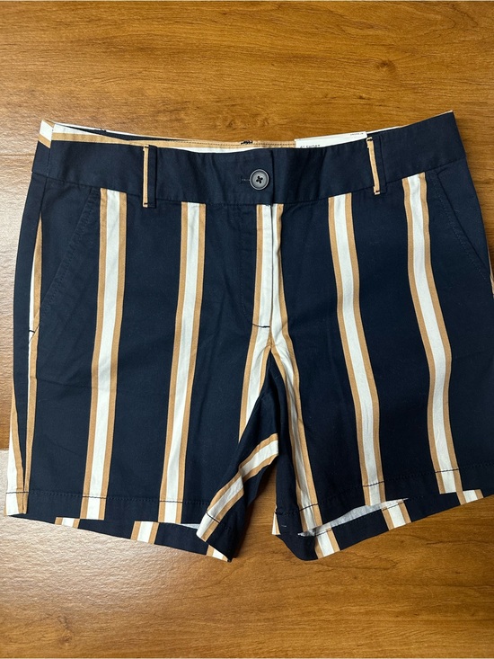 LOFT Pants - Striped Navy and Tan Women's Shorts